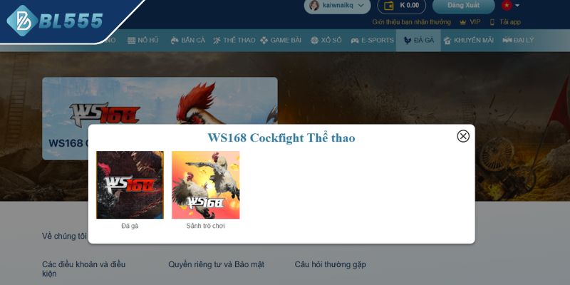 Giới thiệu đôi nét về đá gà BL555