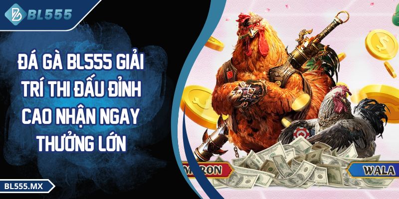 Đá gà BL555