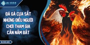 Đá gà cựa sắt