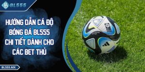 Hướng dẫn cá độ bóng đá
